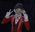 vsign