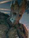 Groot