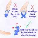 How to maintain balance 