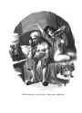 Cons_de_Fee_Erotic_Art_of_Wallace_Wood_014