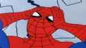 spooder