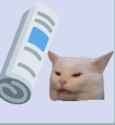bonk-cat-ouch