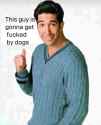 bydogs