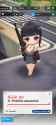 Screenshot_20241221_114551_NIKKE