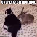 Violence