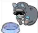 gatto doc 