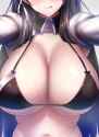 Atago Perfect