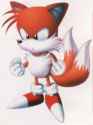 Sonic_Chaos_Tails_4