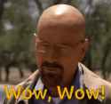 wow-walter-white