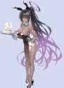 Karin_%28Bunny_Girl%29_00