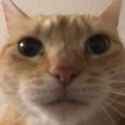 122184.21