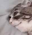 sadwinky