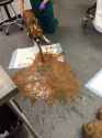 Vomiting dog
