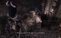 Orcs-take-bedtime-seriously