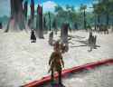 ffxiv_05162025_143110_106