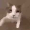 mwah