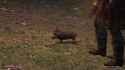 Dragon&#039;sDogmaOnline_1744848112