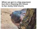 1731685728687382