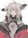 frostleaf foxxo