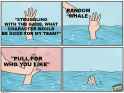 sci5u4wvlaga1
