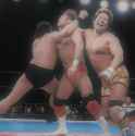 Double Lariat
