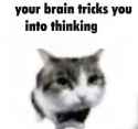 1744097831518761