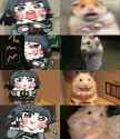 jane_rato