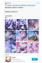 bilibili