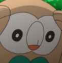 DespairRowlet