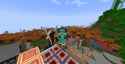 image (5)