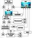act flowchart