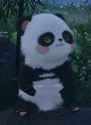 bao