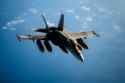 Hornet in the blue