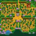 Four_Corners_Farm