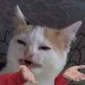 172293