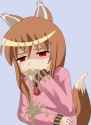 Holo vomits
