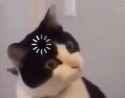 1747333611374851