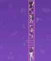 Tallest Ladder