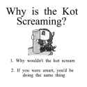 kot screaming