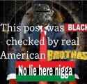 blackchecked bos