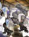 evolveone7