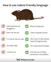 rodent friendly