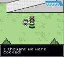 cooked
