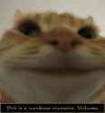 1748655371422763