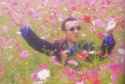 Kaneko-Flower-Fields