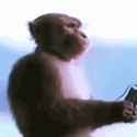 our existence is nothing more than a micoscopic blip on the timeline of the universe and our struggles are meaningless