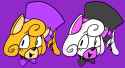 funneh bears