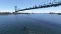2025-06-01 03-37-33 Ambassador Bridge, Michigan