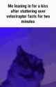 1714381910208018