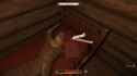 SHARE_20250603_0535010